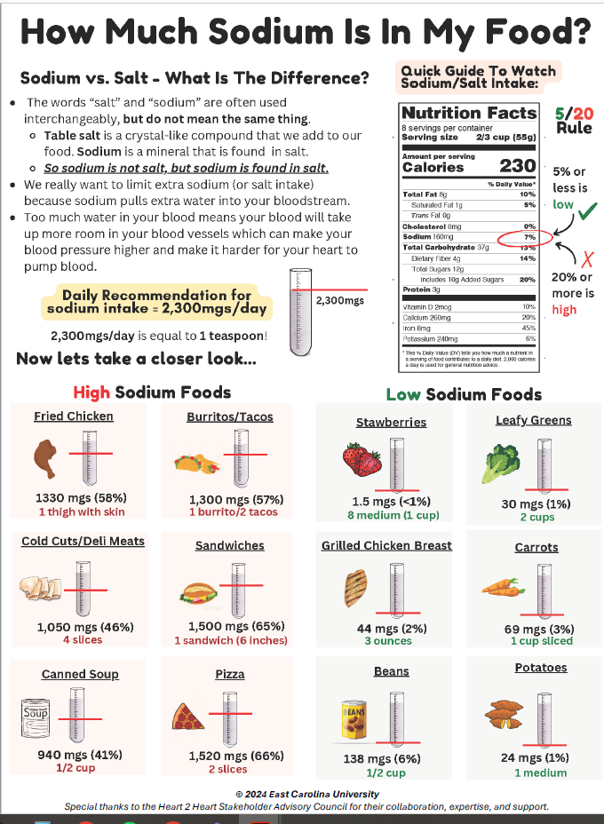 Sodium Handout Picture